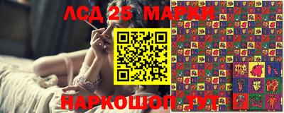 apvp Можга