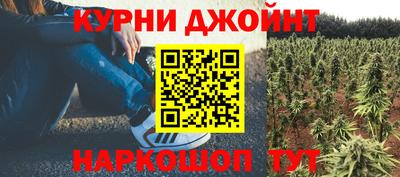 apvp Можга